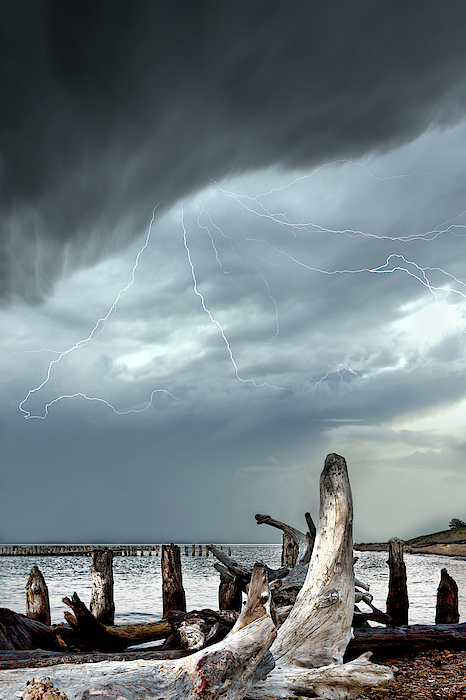 Driftwood Beach Whitefish Point Michigan by Evie Carrier Driftwood Beach Whitefish Point Michigan by Evie Carrier